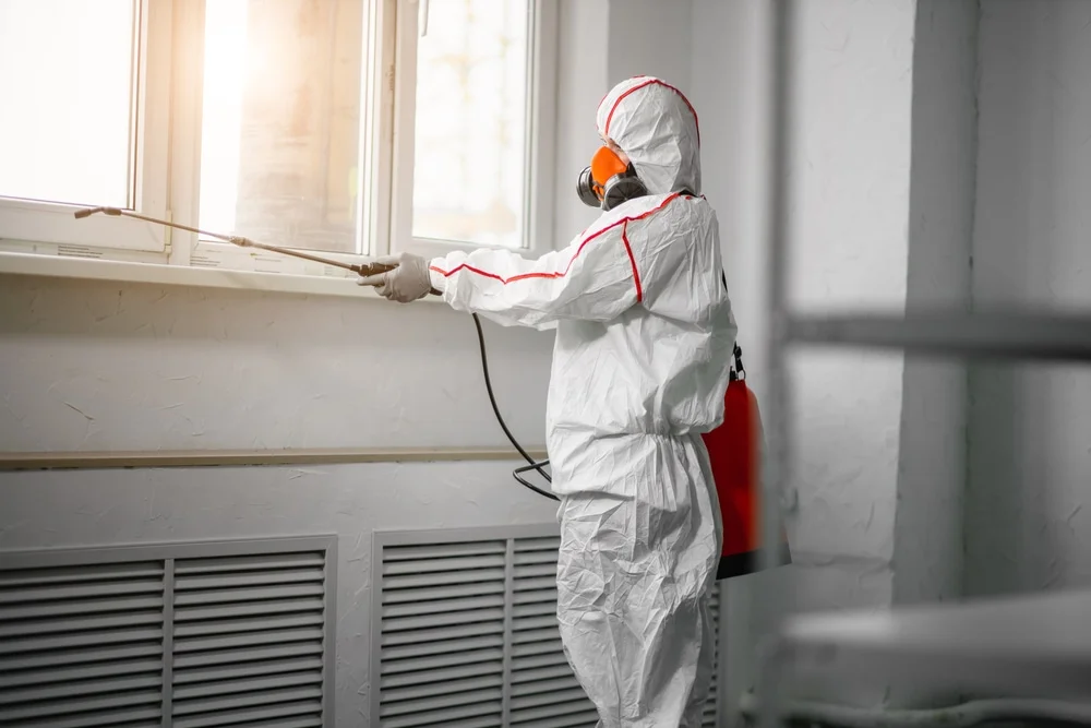 Professional mold remediation services in Willis, MI
